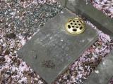 image of grave number 683369